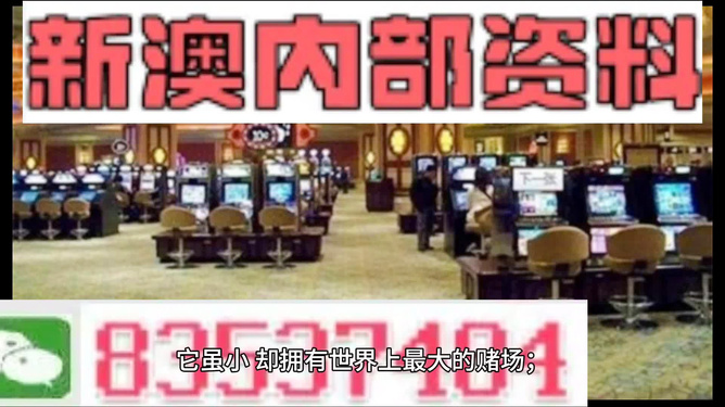 2024新澳门精准资料免费|精选解释解析落实