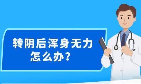 新澳精准资料免费提供|精选解释解析落实