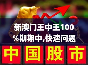 新澳门王中王王中王免费|精选解释解析落实