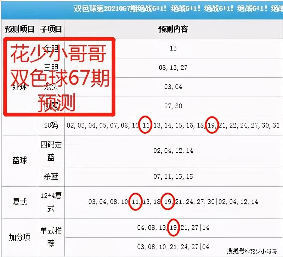 2024今晚澳门开什么号码|精选解释解析落实