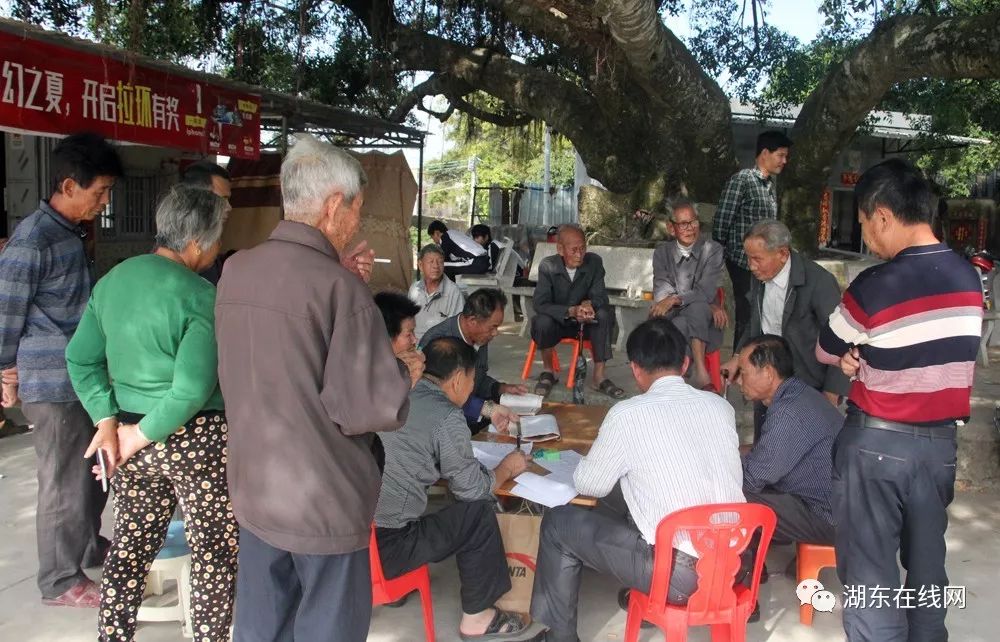 陆丰市湖东镇最新事件