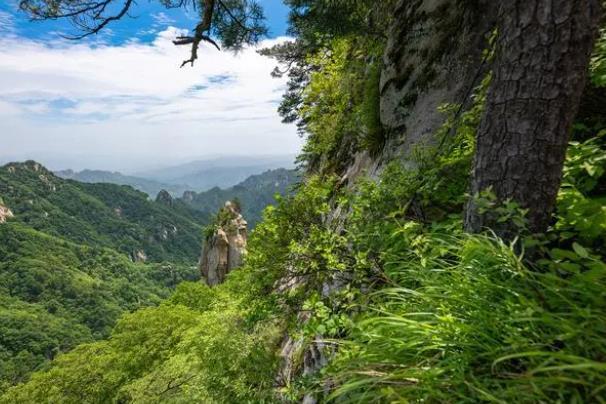 平顶山九头崖最新消息