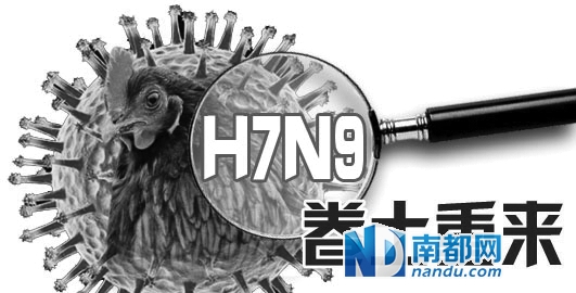 甲型h7n9最新新闻