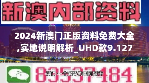 2024新澳门正版资料查询|精选资料解析大全