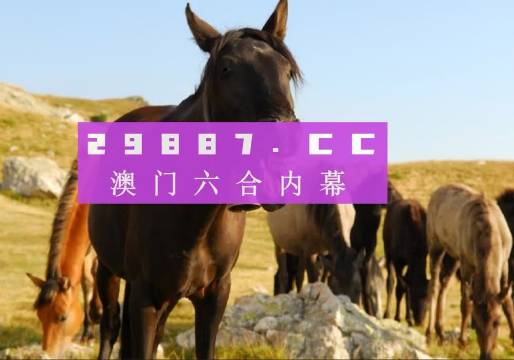 澳门管家婆一肖一码100精准  |精选资料解析大全