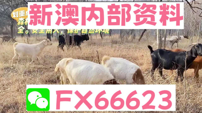 2024今晚新澳|精选资料解析大全