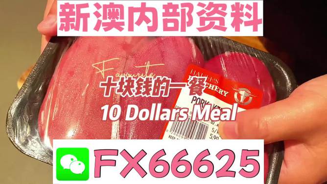 新澳精准资料免费提供4949期|精选资料解析大全