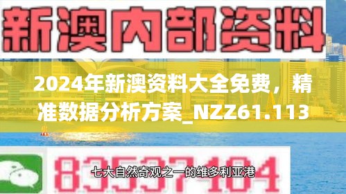 2024新澳最精准资料222期|精选资料解析大全