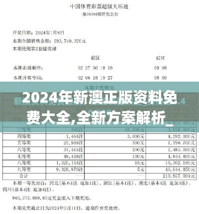 2024正板资料免费公开|精选资料解析大全