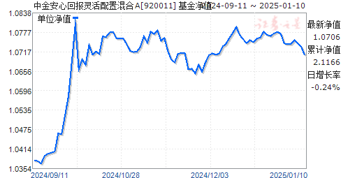 中金策略基金净值最新