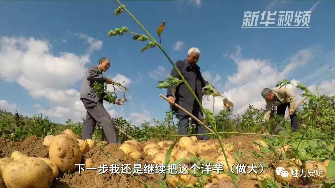 定西房屋出售最新消息